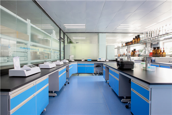 Animal Disease Detection Lab Construction Plan